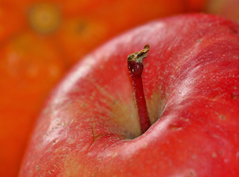 Fruits and vegetables